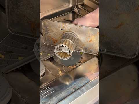 dishwasher deep clean 🫣🫧 #shorts #cleantok #deepclean #dishwasher #cleaningmotivation #cleaning