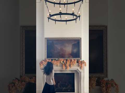 shannon video