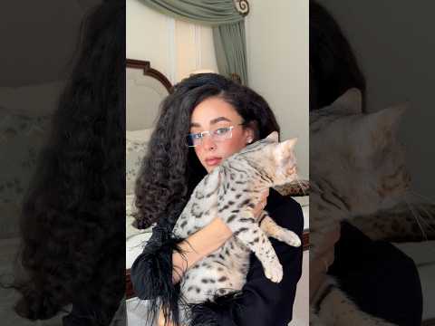 shannon video
