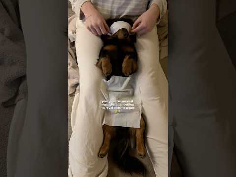sophie-stonehouse photo 8